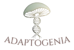 Adaptogenia