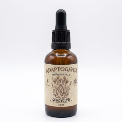 Cordyceps